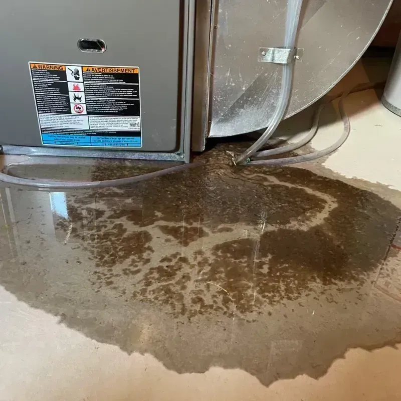 Appliance Leak Cleanup in Clay, WV